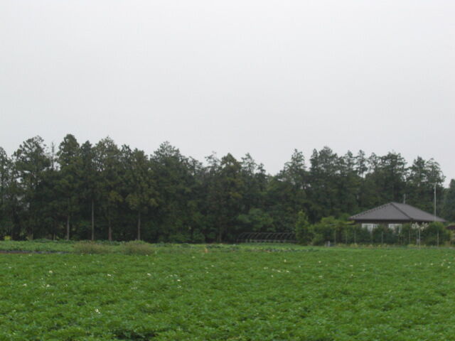 中古戸建て